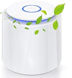 Mini Luftreiniger für Allergiker